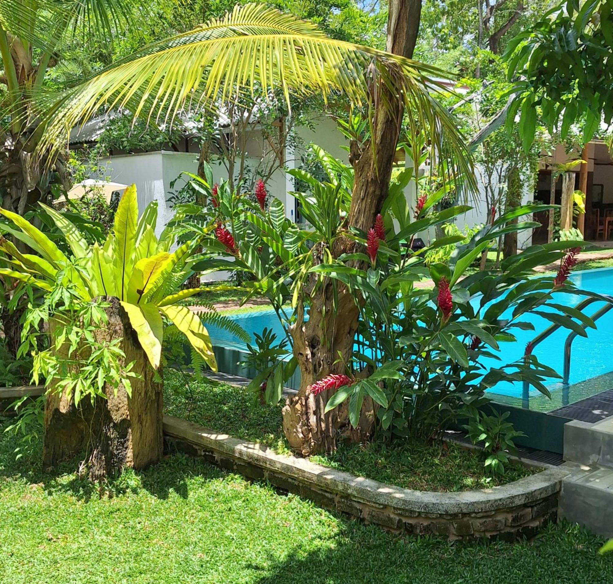 Kandalama Lodge Dambulla Zewnętrze zdjęcie